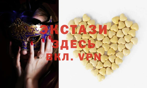 шишки Магас